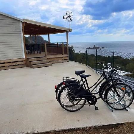 Blue Horizon Campsite